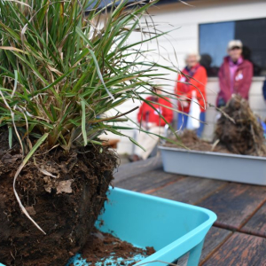 Walcha soils workshop